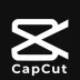 CapCut Pro MOD APK